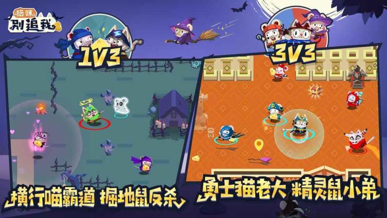 猫咪别追我钻石修改版