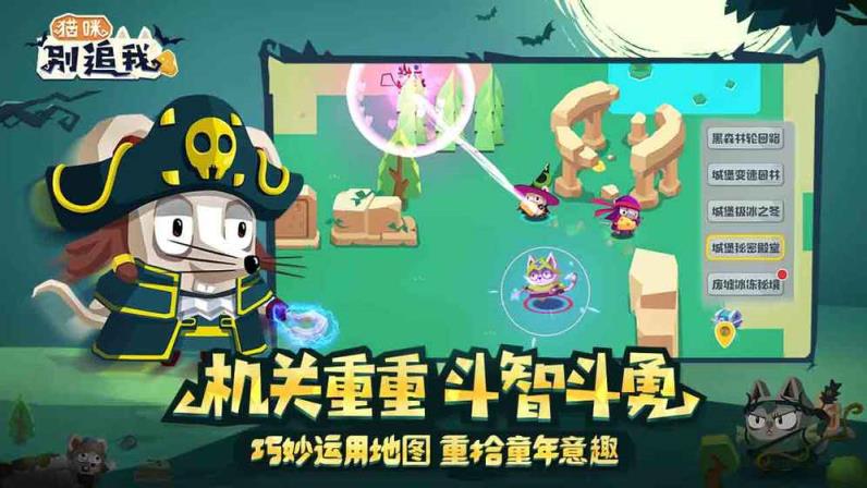 猫咪别追我钻石修改版