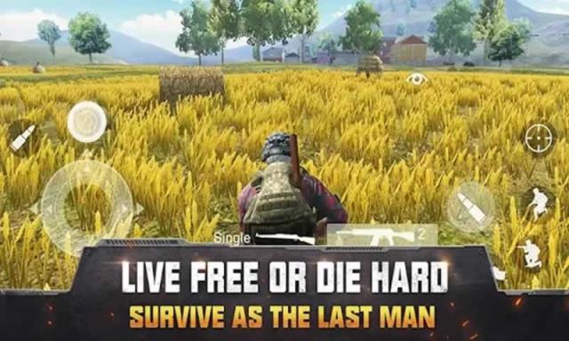 生存小队修改版