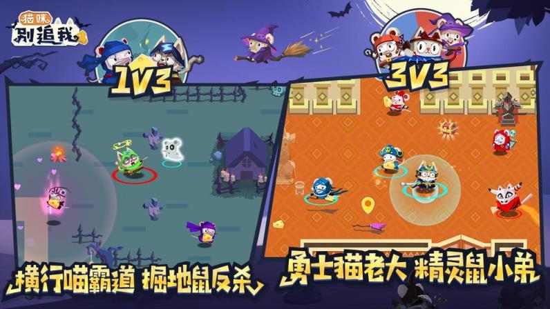 猫咪别追我九游版