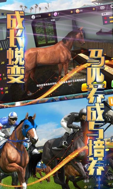 相马大师内购版