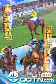 相马大师九游版