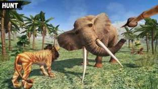 生存岛进化部族