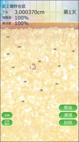 治愈仓鼠养成手游