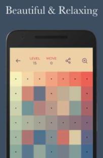 Color Puzzle游戏
