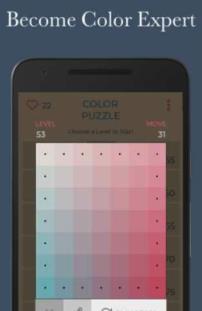 Color Puzzle游戏