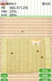 治愈兔兔养成游戏