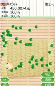 治愈兔兔养成游戏