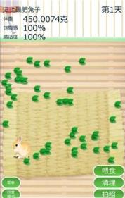 治愈兔兔养成游戏