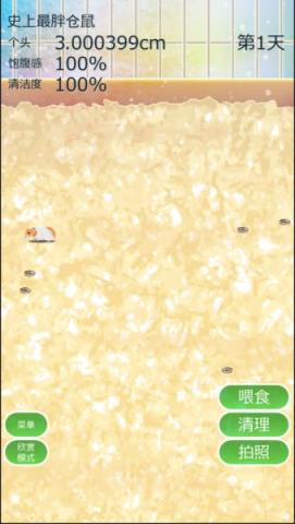 治愈仓鼠养成手游
