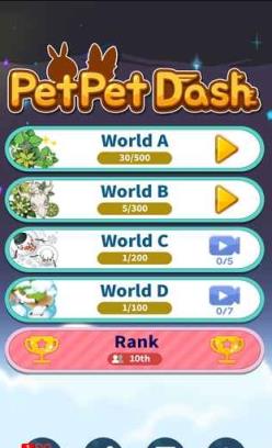 Pet Pet Dash
