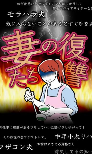 妻子的复仇中文版

