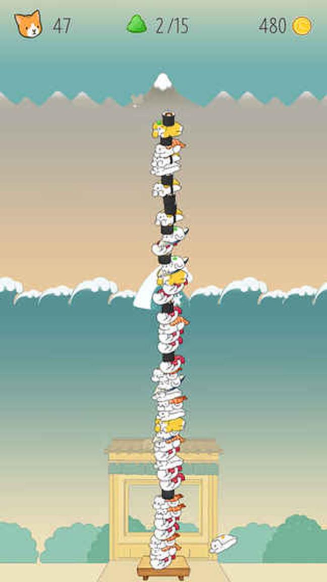 猫咪叠寿司中文版