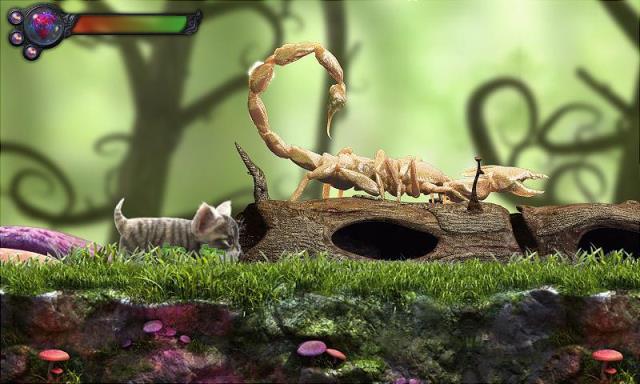 猫咪追寻Kitty Quest