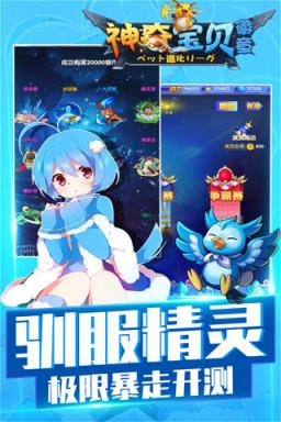 神奇宝贝徽章BT版