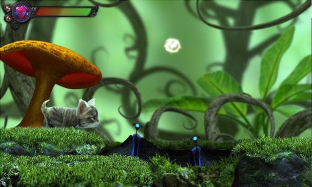 猫咪追寻Kitty Quest