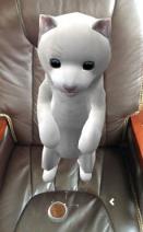 猫抓老鼠Cat Vs Mice