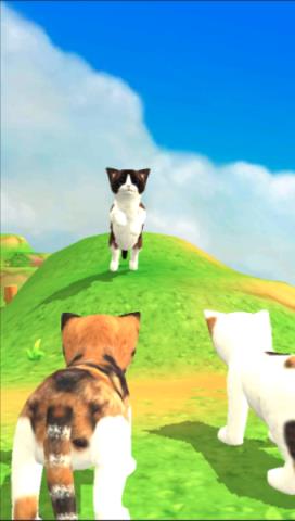 猫咪流浪记游戏