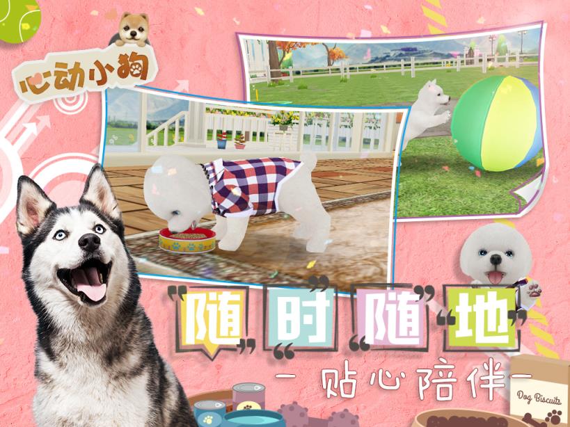 心动小狗破解版