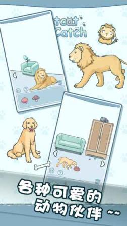 天天躲猫猫破解版