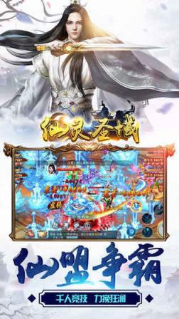 仙灵圣域私服版