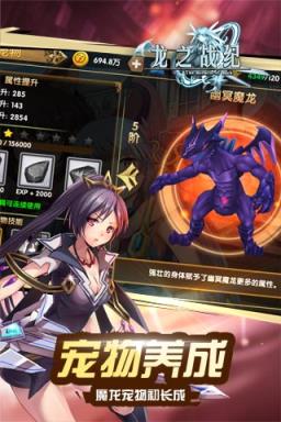 龙之战纪满V版