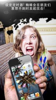 蜘蛛恶作剧高级版