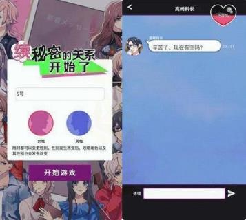 续秘密的关系开始了汉化破解