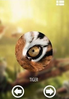 动物眼睛看到的世界游戏安卓版
