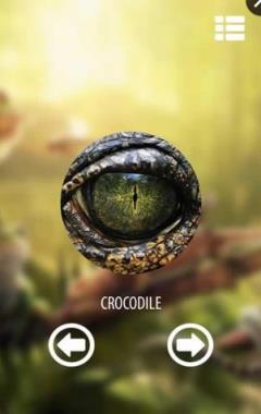 动物视觉模拟器官方