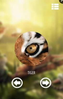 动物视觉模拟器官方