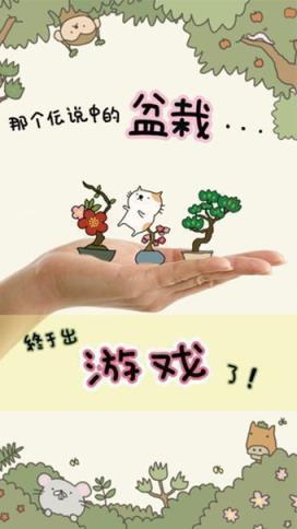 盆栽大师手游官方版
