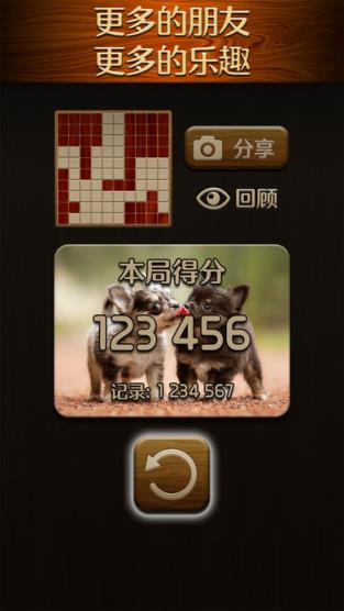 Woody Puzzle游戏