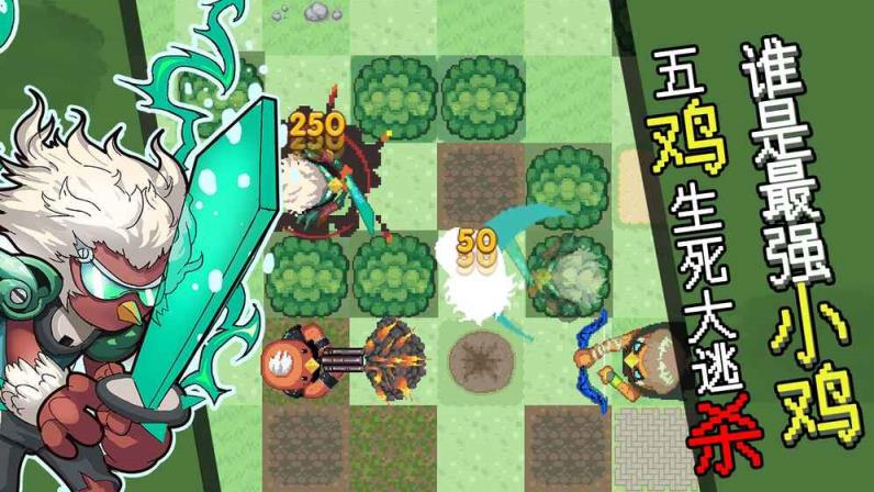菜鸡互啄手游