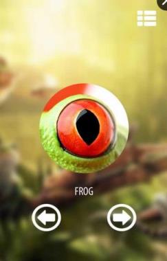 所有动物视觉模拟器无限金币钻石版