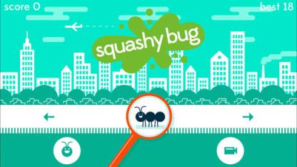 Squashy Bug