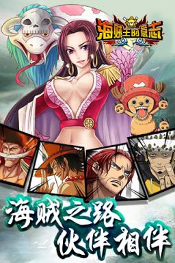 海贼王的意志BT版