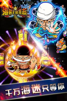 海贼王的意志BT版