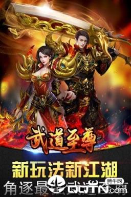 武道至尊手游官方版