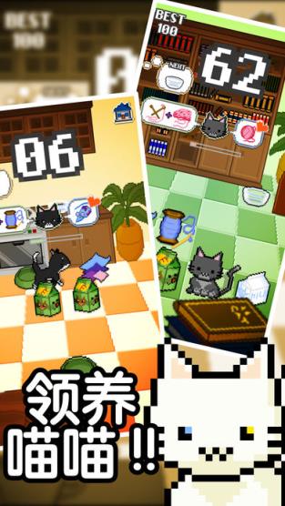 我家猫咪很任性破解版