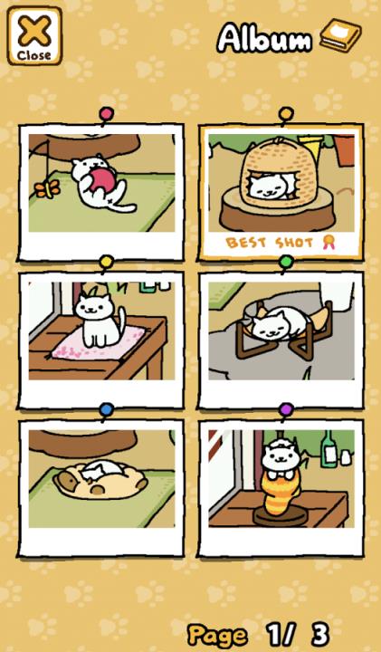 收集猫猫Neko Atsume: Kitty Collector