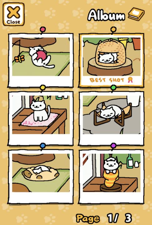 收集猫猫Neko Atsume: Kitty Collector
