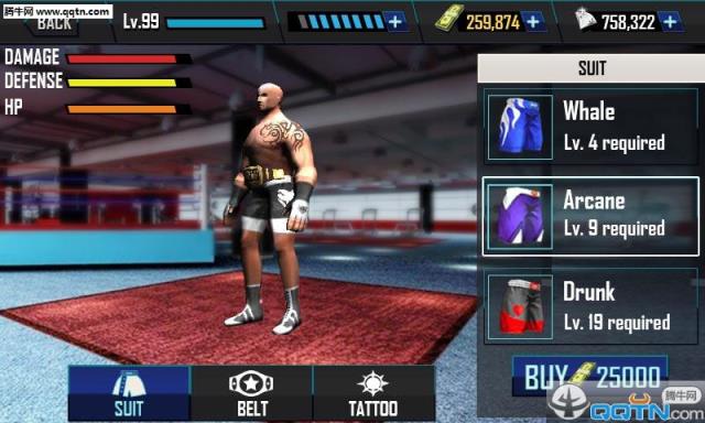 真实摔跤游戏Real Wrestling 3D