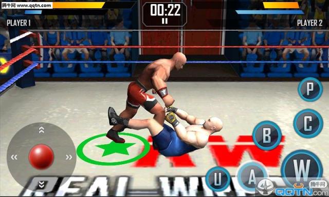 真实摔跤游戏Real Wrestling 3D