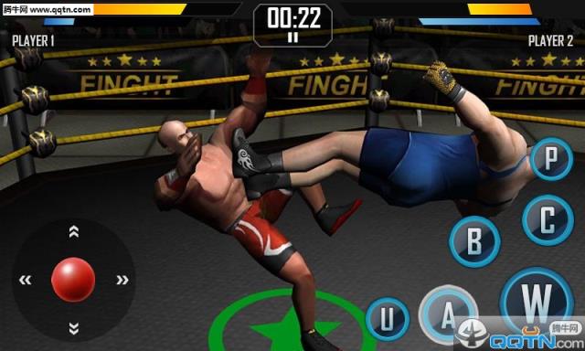 真实摔跤游戏Real Wrestling 3D