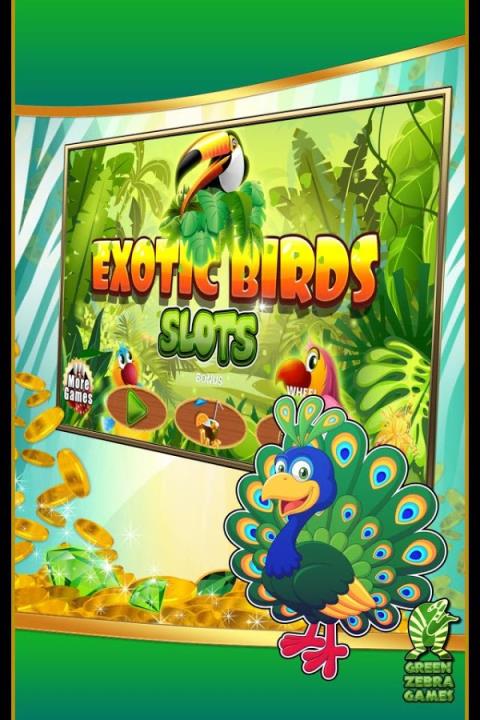 鹦鹉赌场Exotic Birds Slots