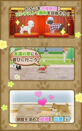 掌上狗狗安卓版