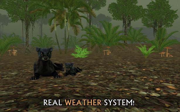 野生动物模拟3D