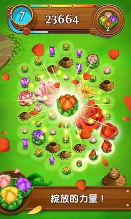 绽放花朵传奇最新下载