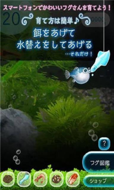 我的河豚水族馆破解版
